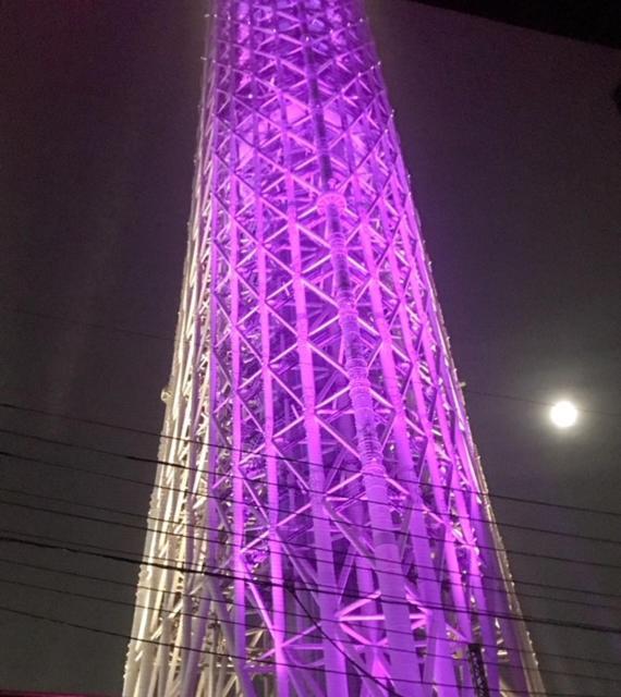 Sky Tree Inn Токио Экстерьер фото